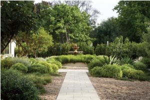 PROJECTS: Landscaping
